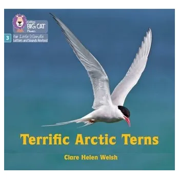 Anglický jazyk Terrific Arctic Terns - Welsh, Clare