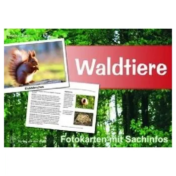 Cizojazyčná kniha Waldtiere - Fotokarten mit Sachinfos - Jung, Heike