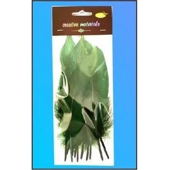 Set školních potřeb Piórka twarde ciemnozielone 10szt