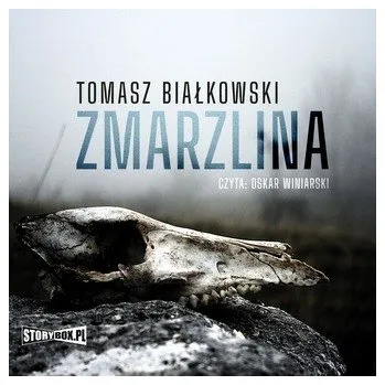 CD Mp3 Zmarzlina - Białkowski Tomasz