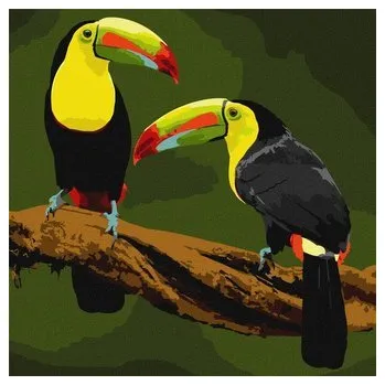 Set školních potřeb Malowanie po numerach - Ptaki egzotyczne 40x40cm