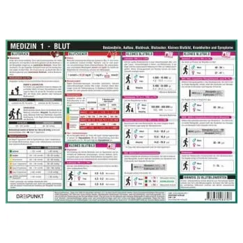 Diář Medizin 1 - Blut, Infotafel - Schulze, Michael