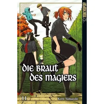 Komiks pro dospělé Die Braut des Magiers 11 - Yamazaki, Kore