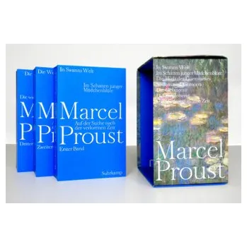 Auf der Suche nach der verlorenen Zeit, 3 Bde. - Marcel Proust