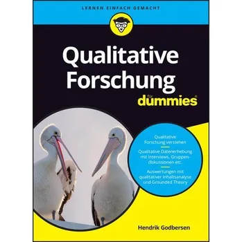 Qualitative Forschung für Dummies - Godbersen, Hendrik