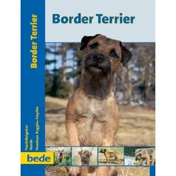 Border Terrier - Penelope Ruggles-Smythe