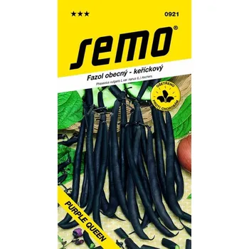 Semeno Fazol keř. fialový - Purple Queen 10g