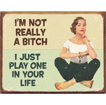 Plechová cedule Plechová cedule Ephemera Not a Bitch 40 cm x 32 cm