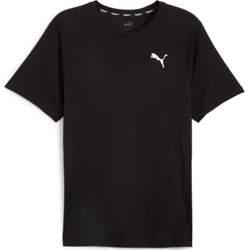 PUMA - PÁNSKÉ SPORTOVNÍ TRIČKO TRAIN ALL DAY TEE 524916-01L