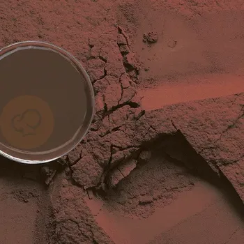 Čokoláda Kakaový prášek Bensdorp 20/22 DW, 25 kg balení | SICAO, 100334-793