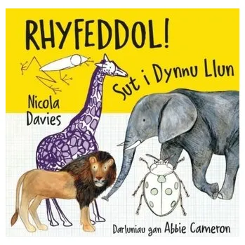První čtění Rhyfeddol! Sut i Dynnu Llun - Nicola Davies