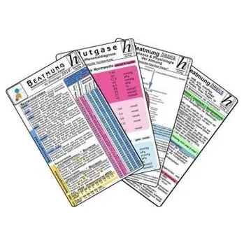Beatmung für Einsteiger 2016, 5 Medizinische Taschen-Karten