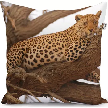 Polštář Dekorační polštář Levhart 2 - Sablio - 40x40 cm