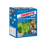 LOVELA Terezín Champion 50 WG