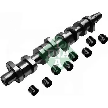 Vačková hřídel Sada vačkového hřídele Schaeffler INA 428 0039 30