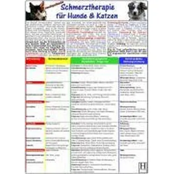 Homöopathische Schmerztherapie für Hunde & Katzen