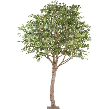 umělá květina Umělý strom Ficus benjamin s přírodními kmeny, 260cm