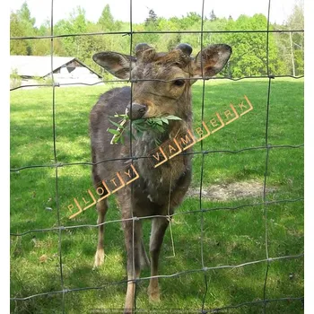 Pletivo Oborové uzlíkové pletivo 200 cm pr. 2,2 Zn