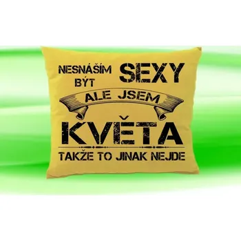 Dekorativní polštářek Polštář se jménem KVĚTA Béžový (polštářek nesnáším být sexy ale jsem ???)