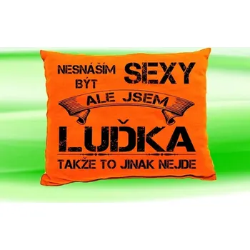 Dekorativní polštářek Polštář se jménem LUĎKA Oranžový (polštářek nesnáším být sexy ale jsem ???)
