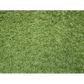 Umělý povrch Spoltex Sophia New šíře 4 m