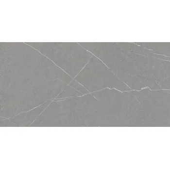 Dlažba ARGENTA CAPRI & BOSCO 47273 60 cm x 120 cm x 0,9 cm šedá 1,44 m2