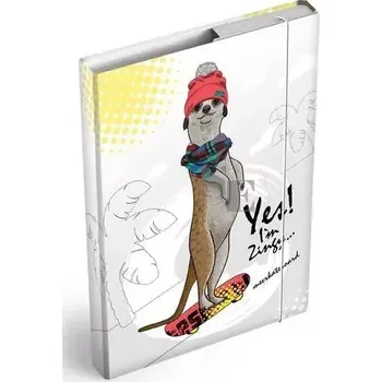 desky na sešit MFP paper Školní box na sešity A4 Surikata 8020985