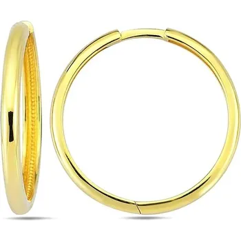 Náušnice DIANTE Zlaté náušnice kruhy 59642358 (Au 585/1000, 2,55 g)