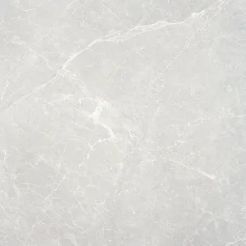 Dlažba NUEVA ALAPLANA ALLISON CA5FALLIPDGA 60 x 60 x 1 šedá 1,42 m2