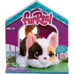 Furreal Koťátko 15 cm
