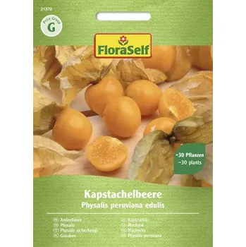 Semeno Mochyně peruánská FloraSelf