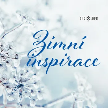 Zimní inspirace