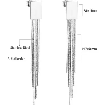 Náušnice Visací náušnice z nerezové oceli - 314S