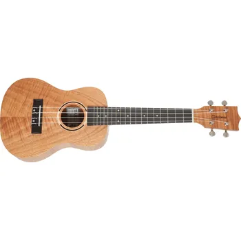 Akustická kytara Tanglewood TWT 6 + prodloužená záruka 3 roky