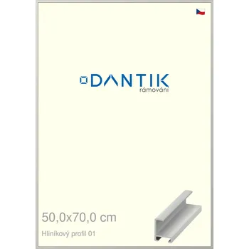 Rám na obraz DANTIK rámeček 50x70 | ALU profil 6001 Stříbrná matná (Plexi Čiré) (Vyrobeno s láskou u nás v DANTIKU)