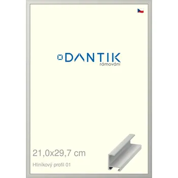 Rám na obraz DANTIK rámeček 21x29,7 | ALU profil 6001 Stříbrná matná (Sklo Čiré) (Vyrobeno s láskou u nás v DANTIKU)