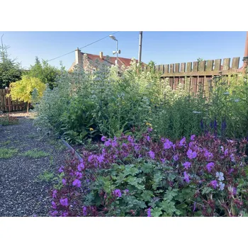 Vyvýšený záhon Trvalkový záhon u plotu