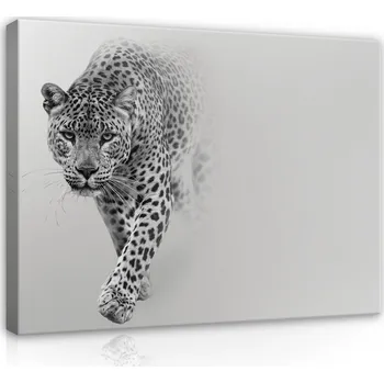 Obraz Postershop Obraz na plátne: Leopard - 100x75 cm