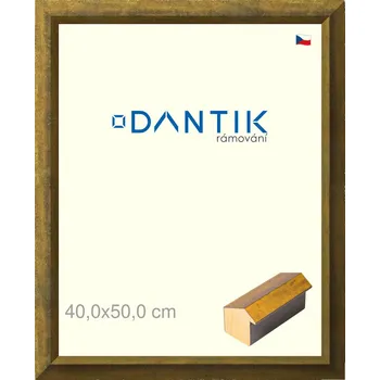 Rám na obraz DANTIK rámeček 40x50 | Forgia Gold (Plexi Čiré) (Vyrobeno s láskou u nás v DANTIKU)