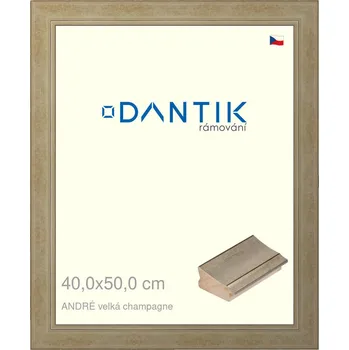 Rám na obraz DANTIK rámeček 40x50 | ANDRÉ velká champagne (Sklo Čiré) (Vyrobeno s láskou u nás v DANTIKU)