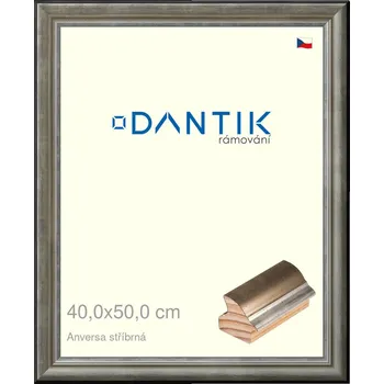 Rám na obraz DANTIK rámeček 40x50 | ANIVERSA stříbrná (Sklo Čiré) (Vyrobeno s láskou u nás v DANTIKU)