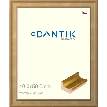 Rám na obraz DANTIK rámeček 40x50 | TOOTH malá zlatá (Sklo Čiré) (Vyrobeno s láskou u nás v DANTIKU)