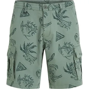 Pánská móda Pánské cargo šortky O'Neill ESSENTIALS 30 Zelená