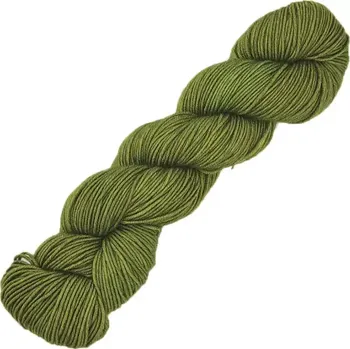 Příze Symfonie Yarns Viva SS1058 Anýzová (Ručně barvená příze Viva 1058 Rain Forest)