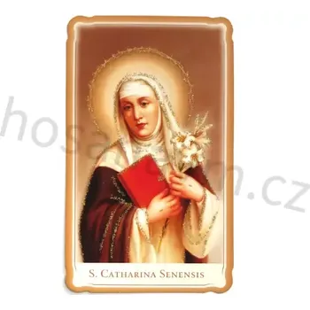 Svatá Kateřina Sienská