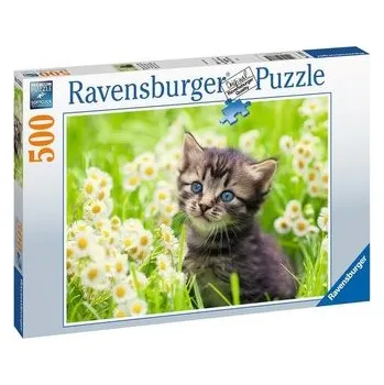 Puzzle Ravensburger Puzzle - Kotě na louce 500 dílků
