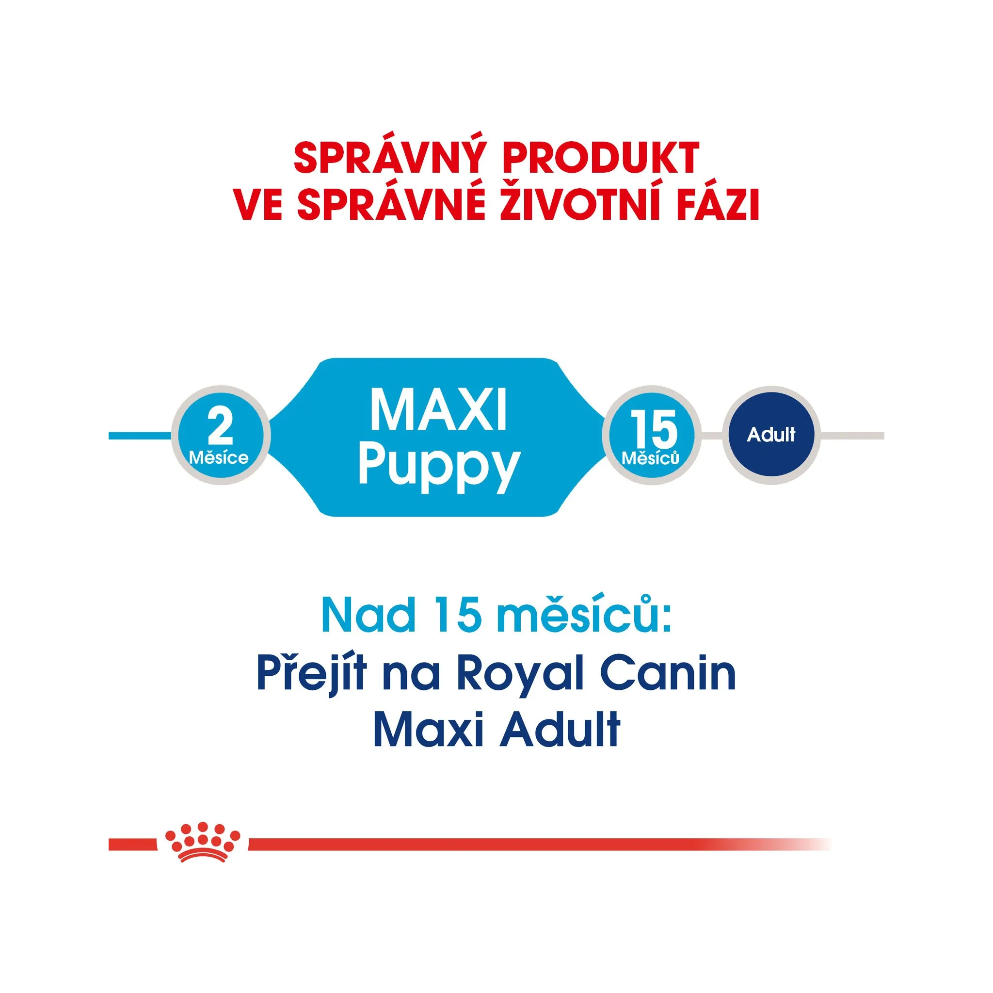 Fotografie 5 - Krmivo pro psa Royal Canin Maxi Puppy Poultry 15 kg