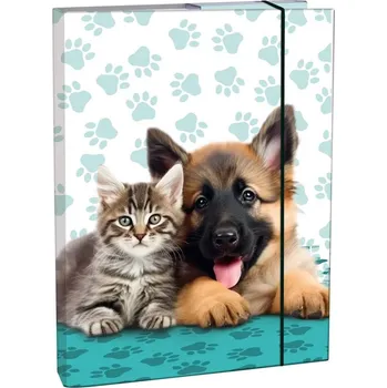 Stil Box na sešity A4, Cute Friends