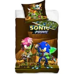 Carbotex Ježek Sonic a Amy Rose hnědé…