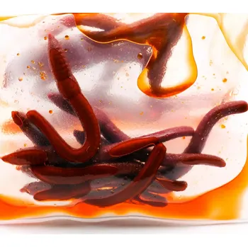 Umělá nástraha ENTERPRISE TACKLE Enterprise červi, patentky - Plovoucí hnojná žížala 8ks